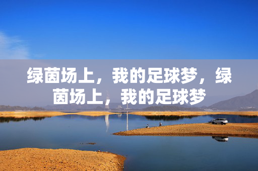 绿茵场上，我的足球梦，绿茵场上，我的足球梦