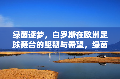 绿茵逐梦，白罗斯在欧洲足球舞台的坚韧与希望，绿茵逐梦，白罗斯在欧洲足球舞台的坚韧与希望