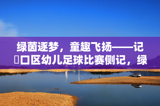 绿茵逐梦,童趣飞扬——记硚口区幼儿足球比赛侧记,绿茵逐梦,童趣飞扬——记硚口区幼儿足球比赛侧记