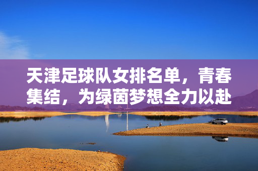 天津足球队女排名单，青春集结，为绿茵梦想全力以赴——详解球队核心与新生力量，天津足球队女排名单，青春集结，核心与新生力量为绿茵梦想全力以赴