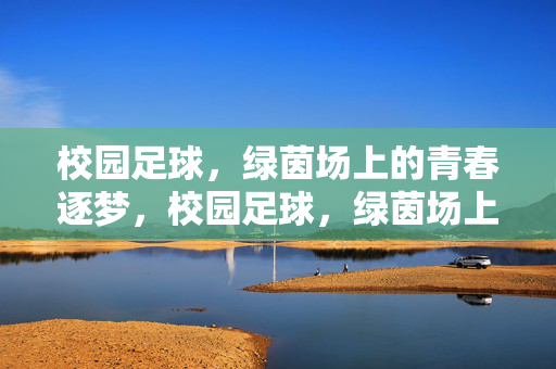 校园足球，绿茵场上的青春逐梦，校园足球，绿茵场上的青春逐梦