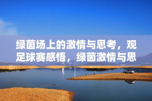 绿茵场上的激情与思考，观足球赛感悟，绿茵激情与思考，观足球赛感悟