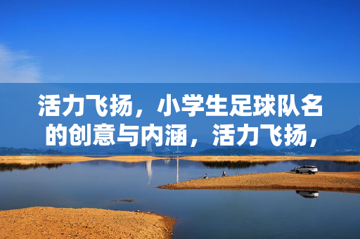 活力飞扬，小学生足球队名的创意与内涵，活力飞扬，小学生足球队名的创意与内涵
