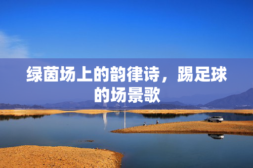 绿茵场上的韵律诗，踢足球的场景歌