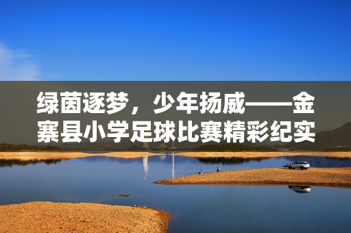 绿茵逐梦，少年扬威——金寨县小学足球比赛精彩纪实，绿茵逐梦，少年扬威——金寨县小学足球比赛精彩纪实