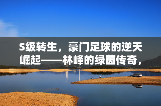 S级转生，豪门足球的逆天崛起——林峰的绿茵传奇，S级转生，豪门足球的逆天崛起——林峰的绿茵传奇