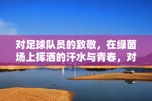 对足球队员的致敬，在绿茵场上挥洒的汗水与青春，对足球队员的致敬，绿茵场上挥洒的汗水与青春
