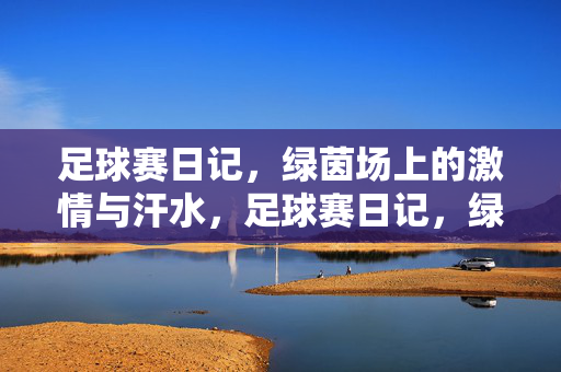 足球赛日记，绿茵场上的激情与汗水，足球赛日记，绿茵场上的激情与汗水