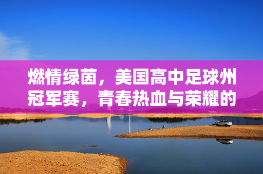 燃情绿茵，美国高中足球州冠军赛，青春热血与荣耀的碰撞，燃情绿茵，美国高中足球州冠军赛，青春热血与荣耀的碰撞