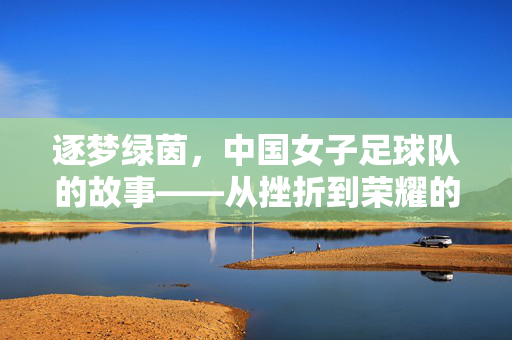 逐梦绿茵，中国女子足球队的故事——从挫折到荣耀的坚韧之路，逐梦绿茵，中国女子足球队的故事——从挫折到荣耀的坚韧之路