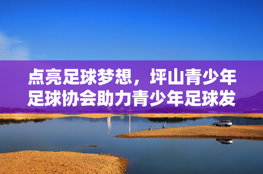 点亮足球梦想，坪山青少年足球协会助力青少年足球发展与全面成长，点亮足球梦想，坪山青少年足球协会助力青少年足球发展与全面成长