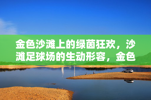 金色沙滩上的绿茵狂欢，沙滩足球场的生动形容，金色沙滩上的绿茵狂欢，沙滩足球场的生动展现