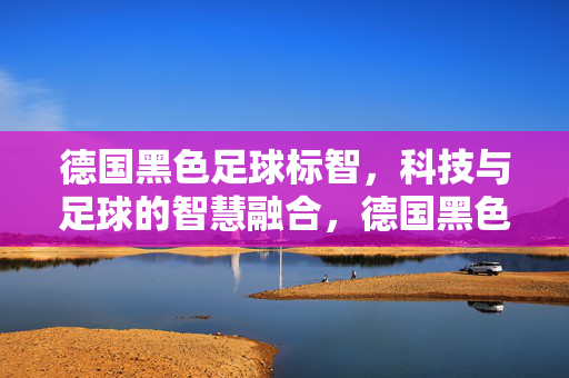 德国黑色足球标智，科技与足球的智慧融合，德国黑色足球标智，科技与足球的智慧融合