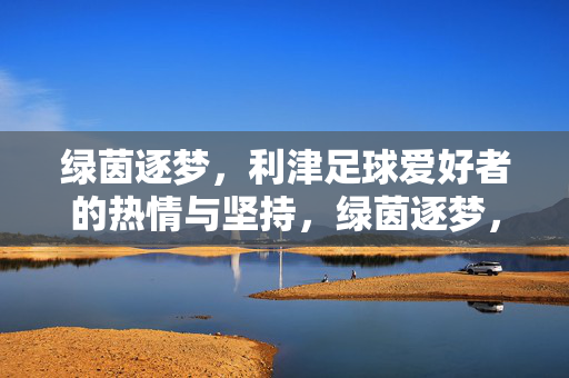 绿茵逐梦，利津足球爱好者的热情与坚持，绿茵逐梦，利津足球爱好者的热情与坚持