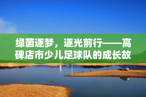 绿茵逐梦，逐光前行——高碑店市少儿足球队的成长故事与时代印记，绿茵逐梦，逐光前行——高碑店市少儿足球队的成长故事与时代印记
