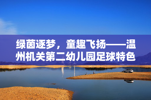 绿茵逐梦，童趣飞扬——温州机关第二幼儿园足球特色教育实践与成效，绿茵逐梦，童趣飞扬——温州机关第二幼儿园足球特色教育实践与成效