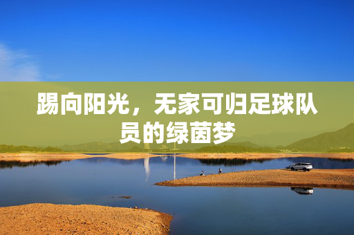 踢向阳光，无家可归足球队员的绿茵梦