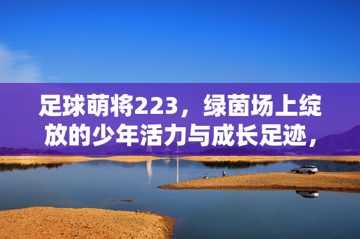 足球萌将223，绿茵场上绽放的少年活力与成长足迹，足球萌将223，绿茵场上绽放的少年活力与成长足迹