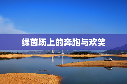 绿茵场上的奔跑与欢笑