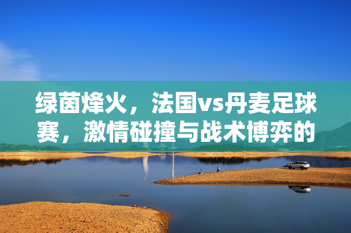 绿茵烽火，法国vs丹麦足球赛，激情碰撞与战术博弈的精彩对决