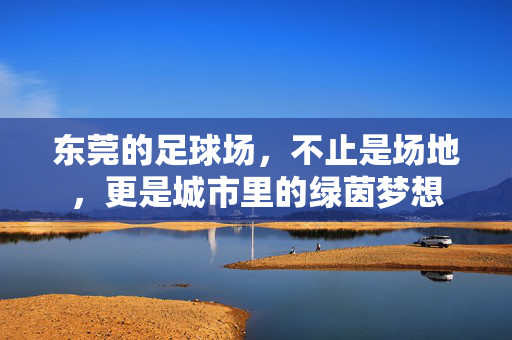 东莞的足球场，不止是场地，更是城市里的绿茵梦想