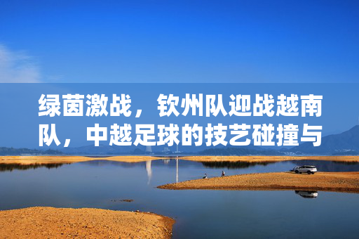 绿茵激战,钦州队迎战越南队,中越足球的技艺碰撞与文化交融