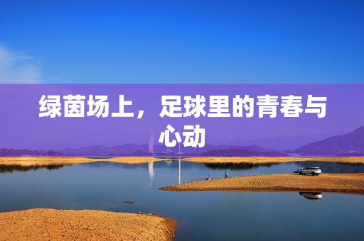 绿茵场上，足球里的青春与心动
