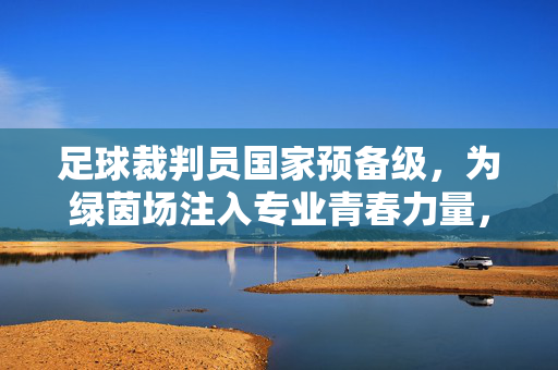 足球裁判员国家预备级，为绿茵场注入专业青春力量，足球裁判员国家预备级，为绿茵场注入专业青春力量