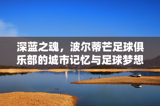 深蓝之魂，波尔蒂芒足球俱乐部的城市记忆与足球梦想，深蓝之魂，波尔蒂芒足球俱乐部的城市记忆与足球梦想