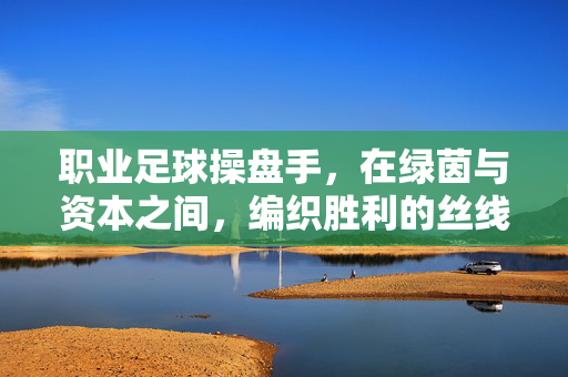 职业足球操盘手，在绿茵与资本之间，编织胜利的丝线——一场关于足球商业与战术的场外博弈