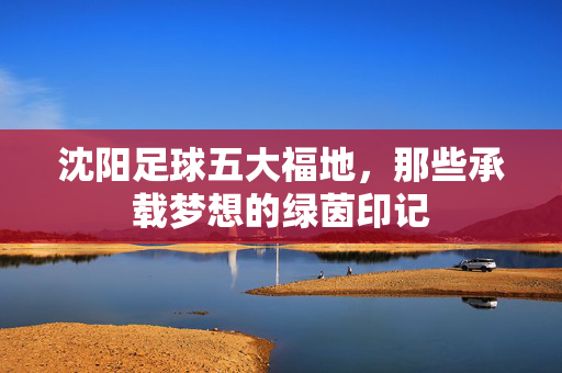 沈阳足球五大福地，那些承载梦想的绿茵印记