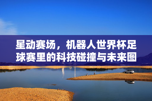 星动赛场，机器人世界杯足球赛里的科技碰撞与未来图景，星动赛场，机器人世界杯足球赛里的科技碰撞与未来图景