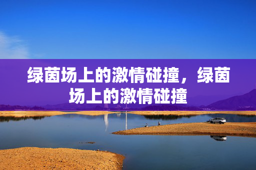 绿茵场上的激情碰撞，绿茵场上的激情碰撞