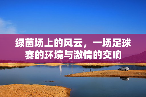 绿茵场上的风云，一场足球赛的环境与激情的交响