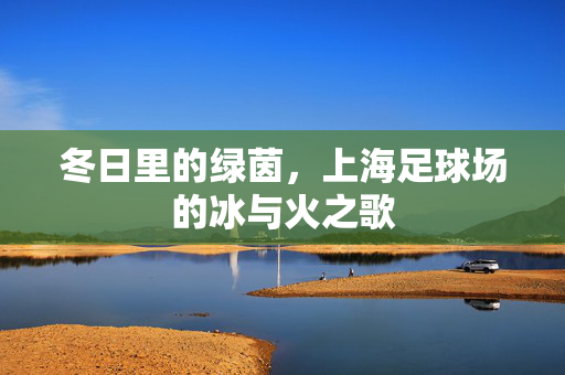 冬日里的绿茵，上海足球场的冰与火之歌