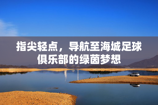 指尖轻点，导航至海城足球俱乐部的绿茵梦想