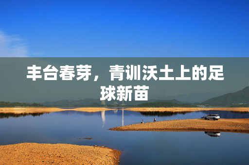 丰台春芽,青训沃土上的足球新苗