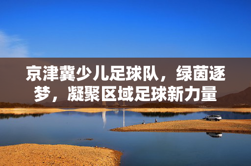 京津冀少儿足球队，绿茵逐梦，凝聚区域足球新力量