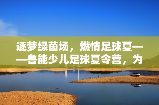 逐梦绿茵场，燃情足球夏——鲁能少儿足球夏令营，为孩子的足球梦想注入活力，逐梦绿茵场，燃情足球夏——鲁能少儿足球夏令营，为孩子的足球梦想注入活力