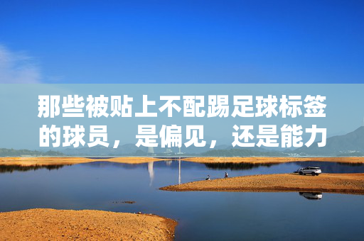 那些被贴上不配踢足球标签的球员，是偏见，还是能力与现实的差距？