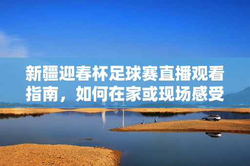 新疆迎春杯足球赛直播观看指南，如何在家或现场感受赛事激情，新疆迎春杯足球赛直播观看指南，在家或现场如何激情观赛全攻略