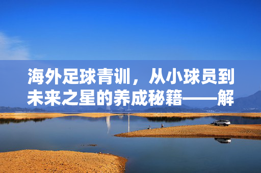 海外足球青训，从小球员到未来之星的养成秘籍——解析国外足球青训体系的先进经验与启示