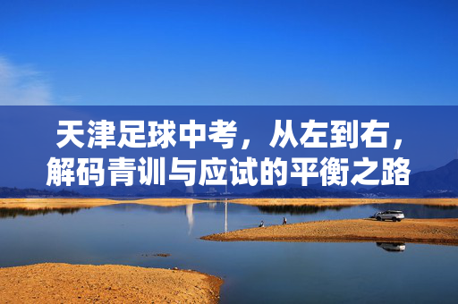 天津足球中考，从左到右，解码青训与应试的平衡之路，天津足球中考，从青训到应试，解码平衡之路