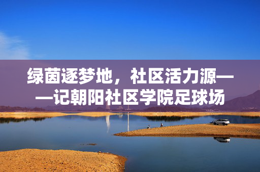 绿茵逐梦地，社区活力源——记朝阳社区学院足球场