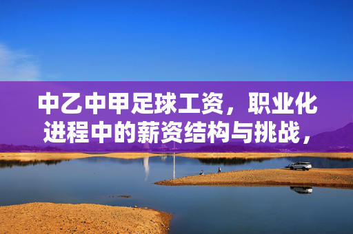 中乙中甲足球工资，职业化进程中的薪资结构与挑战，中乙中甲足球工资，职业化进程中的薪资结构与挑战