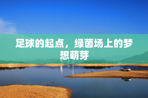 足球的起点，绿茵场上的梦想萌芽