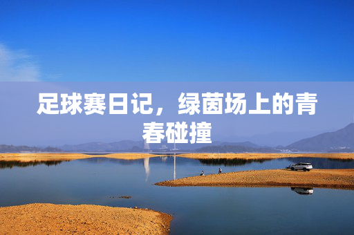 足球赛日记，绿茵场上的青春碰撞