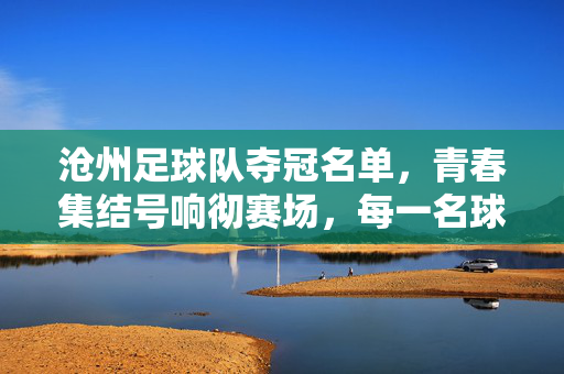 沧州足球队夺冠名单，青春集结号响彻赛场，每一名球员都是冠军的基石