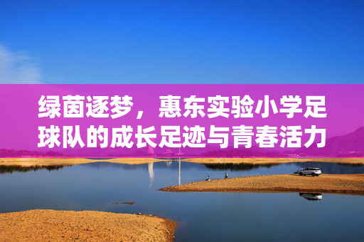 绿茵逐梦，惠东实验小学足球队的成长足迹与青春活力