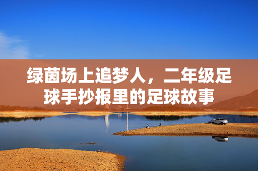 绿茵场上追梦人，二年级足球手抄报里的足球故事